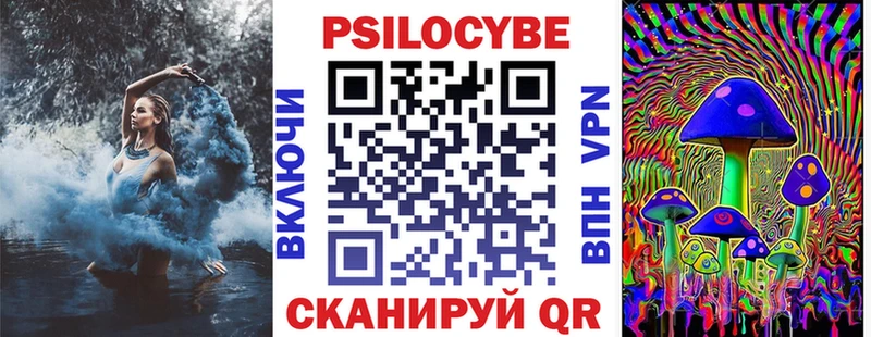 купить наркотики цена  Тимашёвск  Псилоцибиновые грибы Psilocybine cubensis 
